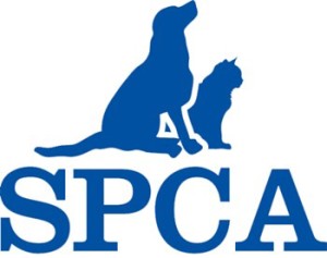 SPCA