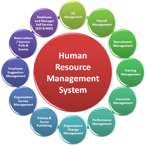 Business Knowledge Framework - Human Managment Theory