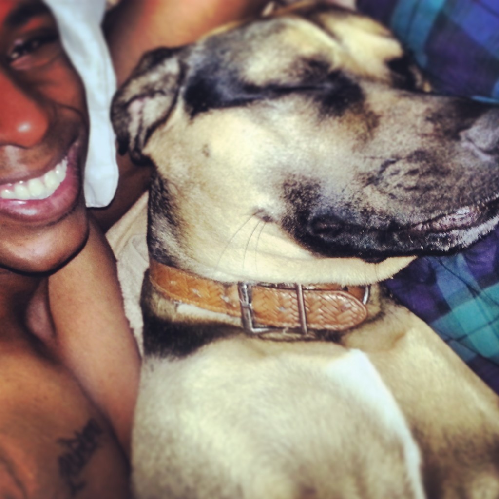 Photo: Some morning's Ted enjoyed sleeping in all the running and fresh air did him good having him around made things easier. 